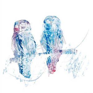横摄影照片_横纹猫头鹰栖息的数码绘画。斑点猫头鹰水彩画