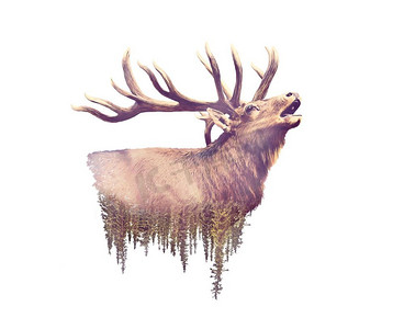 麋鹿和森林水彩双曝光效果在白色背景