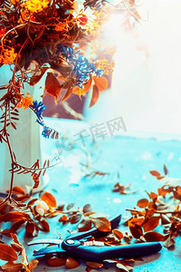 鲜花簇拥摄影照片_用剪刀和花瓶把秋天的鲜花簇拥在蓝色的桌子上。舒适的家居室内装饰。秋天的静物，前景