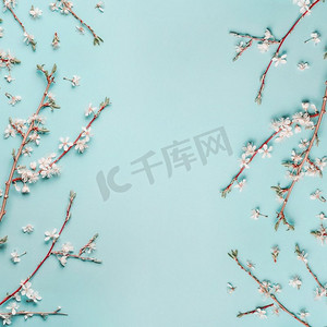 春天桌面背景摄影照片_春季背景，蓝色桌面上有樱花枝条，俯视，框架，平放