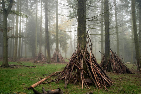 在森林景观中的儿童在雾奥图的巢穴建筑面积。英国.在林地风景的儿童的巢穴建筑物区域在有雾的秋天早晨