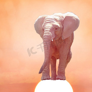 日落时的小象。数码绘画。