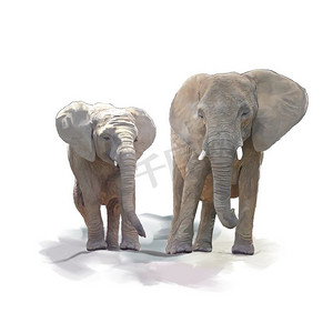 母象和幼象的数码绘画。母象和幼象的水彩画