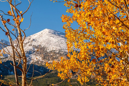 科罗拉多州落基山脉的秋天落基山脉国家公园的秋天USA. 