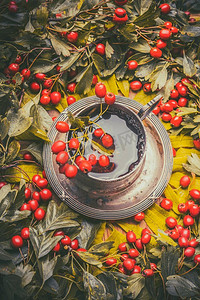 复古茶杯，配有草药秋茶和红莓，俯瞰