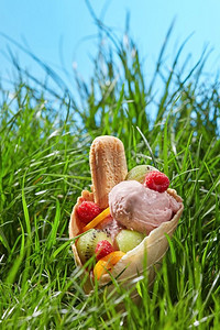 华夫饼甜筒水果冰淇淋与乌藨子，Savoyardi和水果在绿色草特写镜头的背景。华夫饼蛋卷水果冰淇淋