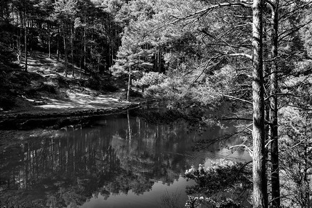植物湖水风景摄影照片_古老的粘土矿坑采石湖黑白美丽的风景形象