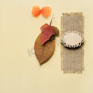 创意感恩节黄底树叶概念照片。