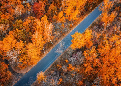 优增新赛道摄影照片_ 道路，空中，秋天，秋天