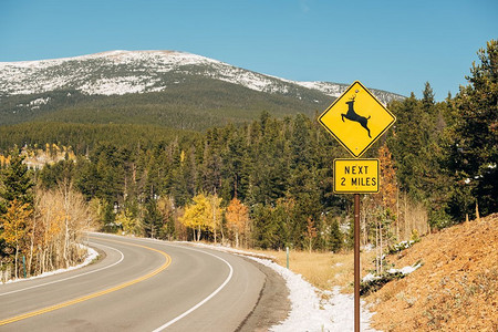 鹿交叉标志在高速公路在秋天晴天在科罗拉多州，美国。 