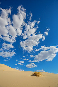 风景如画的沙漠沙丘。自然的背景。