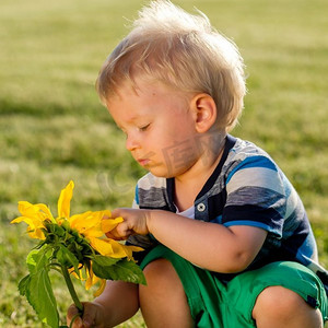 户外学步儿童的肖像。一岁男婴看向日葵的乡村场景