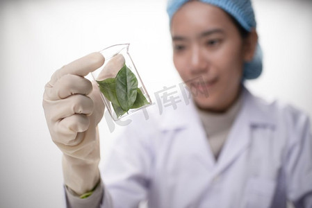 医生女科学家做草药在实验室与草药叶维生素补充剂矿物质替代治疗研究
