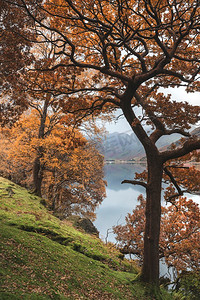 70909318-英国湖区布特梅尔湖令人惊叹的秋季景观图片