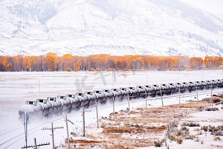 初雪摄影照片_运输油罐车的火车。季节更迭，初雪和秋树。美国科罗拉多州落基山。