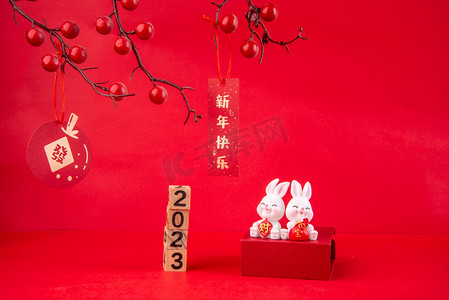 福年春节摄影照片_2023新年春节两个兔子摆件背景摆放兔年