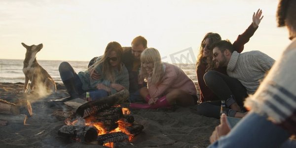 小组朋友与狗放松在海滩的篝火周围在日落