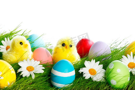彩蛋黄色摄影照片_绿色草地上彩蛋和小鸡的复活节构图