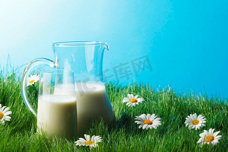 牛奶罐和玻璃在花田。牛奶壶和玻璃上新鲜的青草与甘菊
