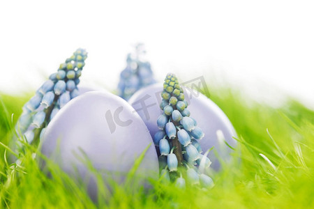 五颜六色的复活节彩蛋在鲜花绿草中