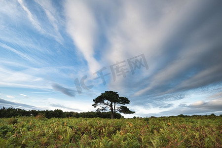 美丽的风景图案摄影照片_美丽的夏天日落风景图像布拉特利视图在新森林国家公园英格兰 