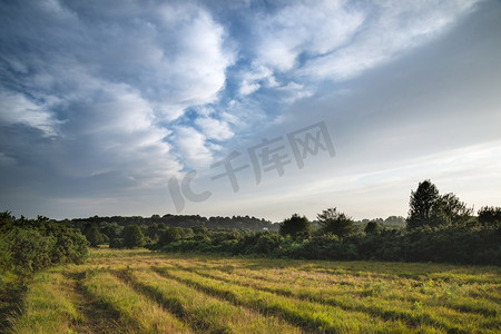 美丽的夏天日落风景图象Ashdown森林在英国农村与充满活力的颜色