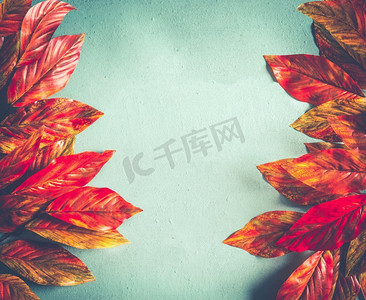 明亮的橘红色秋叶框在阳光明媚的青绿色背景上，顶视图带有复制空间。秋季图案布局。复古样式