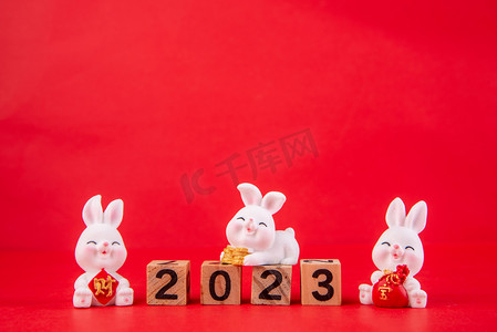 2023心愿单摄影照片_新年2023数字兔子摆件红色背景摆放兔年
