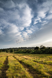 美丽的夏天日落风景图象Ashdown森林在英国农村与充满活力的颜色
