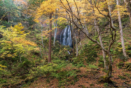 Tatsuzawafudo瀑布秋天在福岛