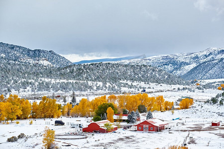 雪屋顶摄影照片_季节变化，第一场雪和秋天的树木。美国科罗拉多州落基山脉 