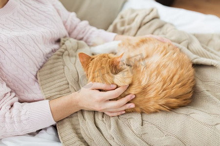 宠物、卫生和人的概念--女主人与家里的红色猫猫在床上的特写。主人在家里的床上抱着红猫的特写