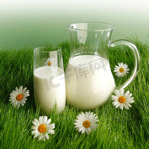 瓶子里的牛奶和花草上的玻璃杯。瓶子里的牛奶和玻璃杯里的鲜草草地上的甘菊