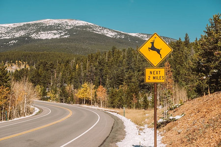 秋天阳光明媚的一天，美国科罗拉多州高速公路上的鹿过马路标志。