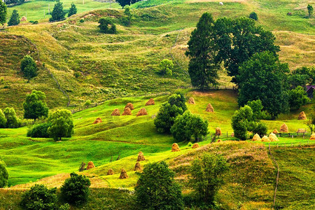 割草机背景摄影照片_绿意盎然的夏季山水风光。山谷中的青山。夏日的山景..青山。夏季草甸上的割草机
