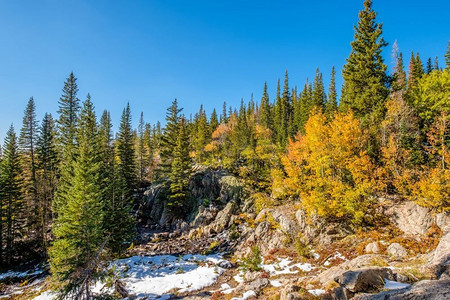 美国科罗拉多州落基山国家公园，季节变换，初雪和秋日的白杨树。