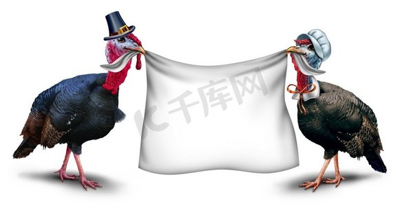 感恩节空白标志作为一只鹅和母鸡火鸡拿着白色横幅与3D例证元素。