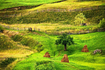 绿水青山艺术字摄影照片_绿色夏季景观风景。山谷中的青山。夏季山地景观绿色夏季风景优美的乡村景观。 