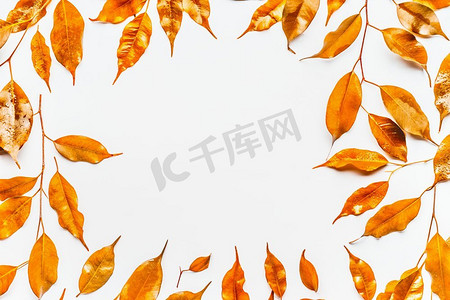 纹理鎏金摄影照片_金秋天叶子框架在白色背景，顶视图。秋季树叶布局