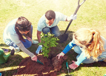 志愿、慈善、人与生态理念--一群快乐的志愿者在公园植树。一群志愿者在公园里植树
