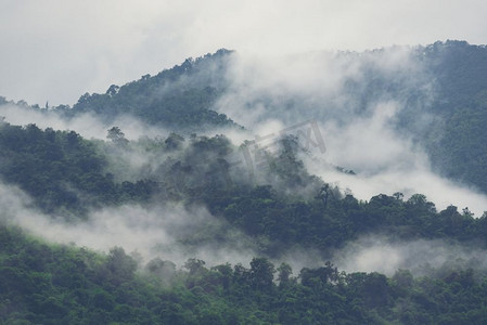 亚洲热带雨林，自然景观背景