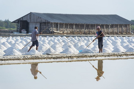 Petchaburi-1月28日：工人们正在帮助从盐中运输盐。2016年1月28日，泰国Phetchaburi的班兰