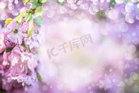 淡紫色花朵背景