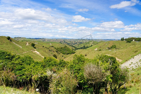 新西兰塔拉纳基的乡村风光。新西兰被遗忘的世界公路沿线的乡村风景