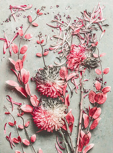 桌面背景粉摄影照片_夏天花平奠定组成与五颜六色的粉彩花园花，花瓣和叶子在桌面背景，顶视图