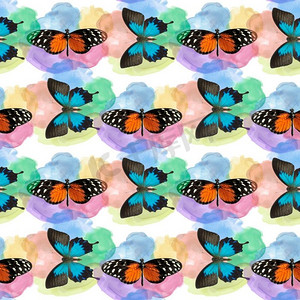无缝的模式与蝴蝶在水彩背景。无尽的设计。