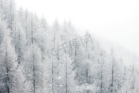 冬季山林摄影照片_冬天风景与雪覆盖的树木的山林。冬季景观与森林