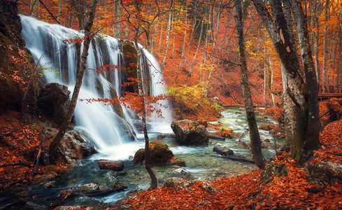 森林与水摄影照片_美丽的瀑布在山河在五颜六色的秋天森林与红色和橙色的叶子在日落。自然景观