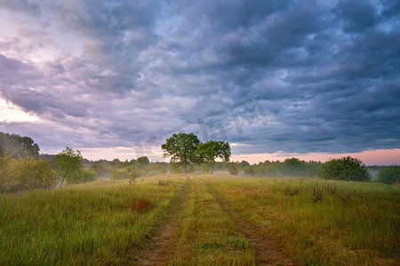 夏天薄雾日出在草地。乡间小路绿地。晨雾中的两棵大橡树。乌云笼罩。白俄罗斯，Berezina河