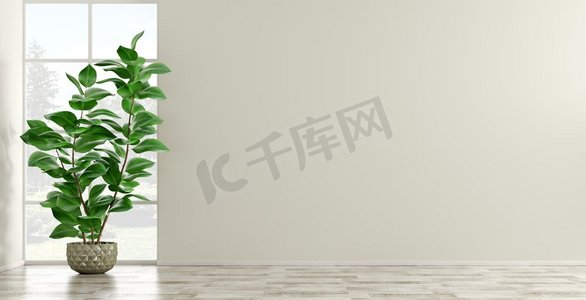墙壁摄影照片_空的内部背景，房间有米色墙壁和镶木地板，花瓶有绿色家植物反对窗口3d渲染